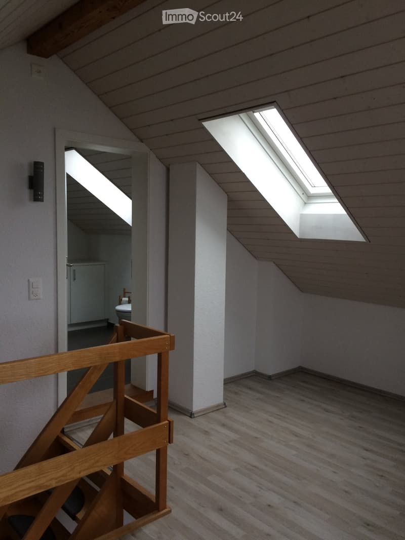 Bright, wooden-floored hallway with slanted ceiling and skylight, leading to a small bathroom with a toilet visible in the background.
