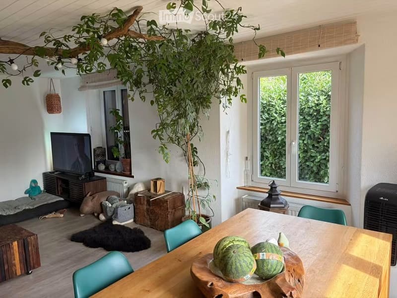 Bright living room with large windows, wooden floor, hanging plant, TV, dining table with chairs, and decorative items including a rug and a toy.