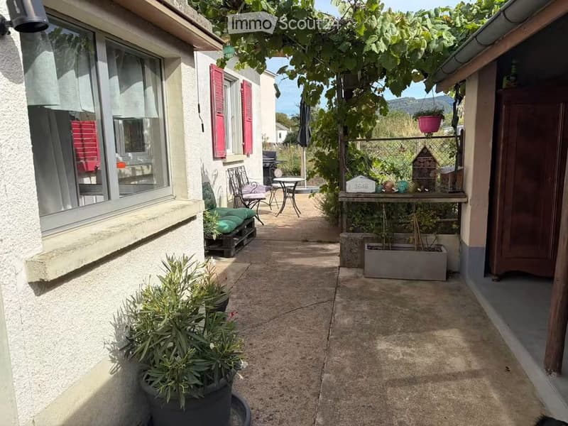 A narrow outdoor patio area with a stone pathway, potted plants, a small table and chairs, and a covered area with a vine-covered pergola.