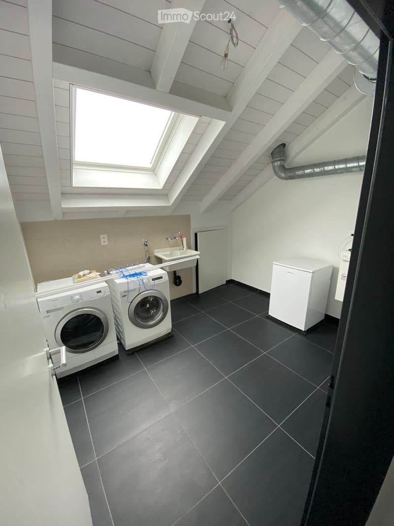 Modern bathroom with dark tiled floor, white washing machine and dishwasher, sink, and small refrigerator. The room has exposed wooden beams and skylights.