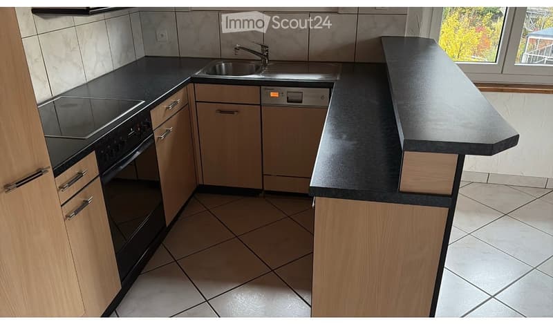 Modern kitchen with light wooden cabinets, black countertops, stainless steel sink, and built-in oven and dishwasher.