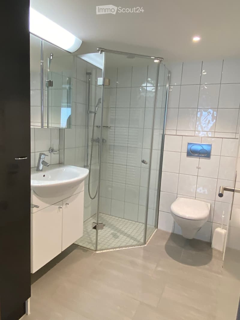 Modern bathroom with white tiles, a glass-enclosed shower, a white sink with a cabinet, and a toilet.