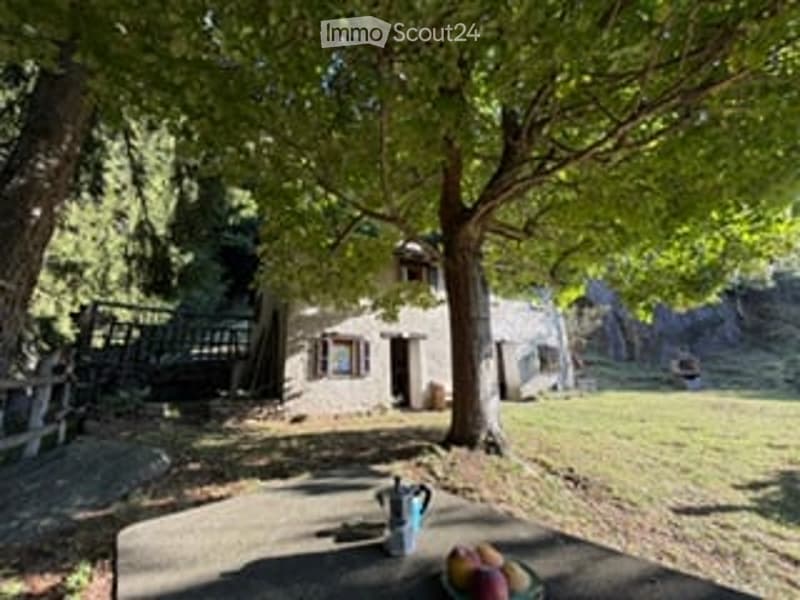 A sunny outdoor patio area with a wooden table, a teapot, and a bowl of fruit. The patio is surrounded by trees and a rustic house is visible in the background.