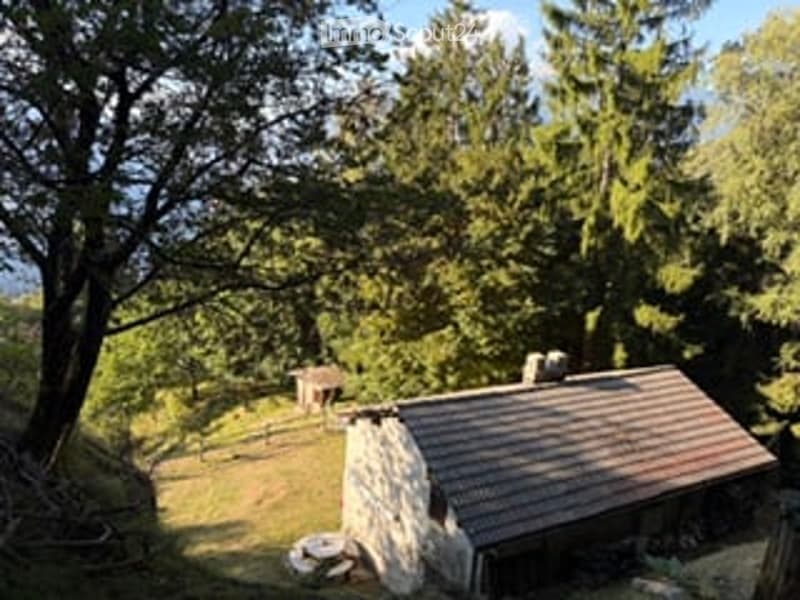 A rustic wooden cabin with a stone chimney sits on a grassy slope surrounded by trees. A small wooden bench is nearby, and the setting appears serene and secluded.