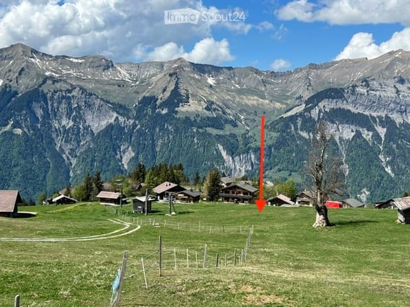 A picturesque alpine village with traditional wooden houses, surrounded by lush green fields and towering mountains under a clear blue sky.