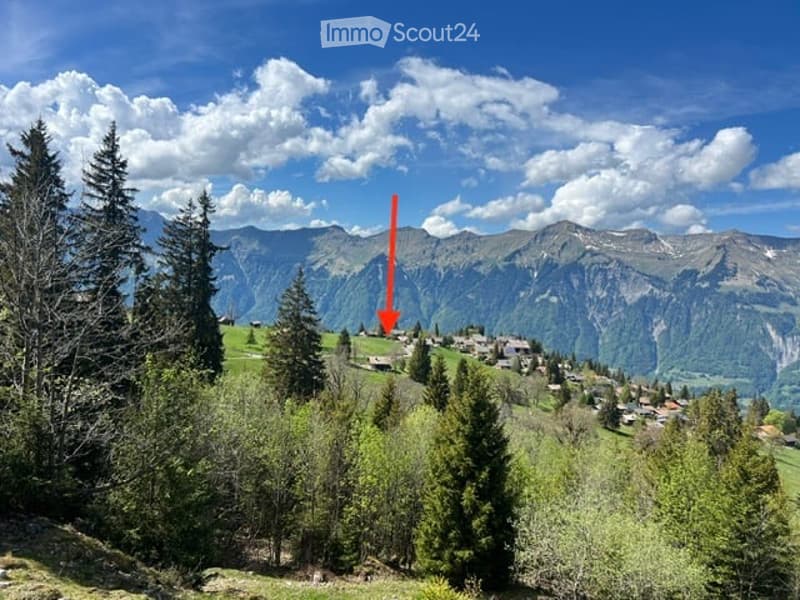 Panoramic view of a mountainous landscape with scattered houses and dense forest, under a partly cloudy sky.