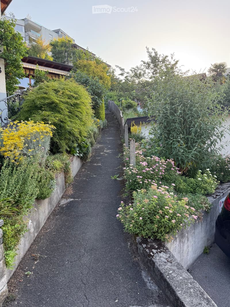 A narrow, paved pathway bordered by lush greenery and flowering plants, leading up a set of stairs with a wooden railing on one side.