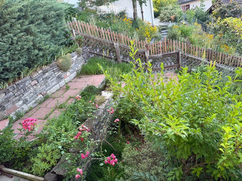 Garden with a wooden fence, stone wall, brick pathway, and various plants and flowers, including pink roses and yellow blooms.