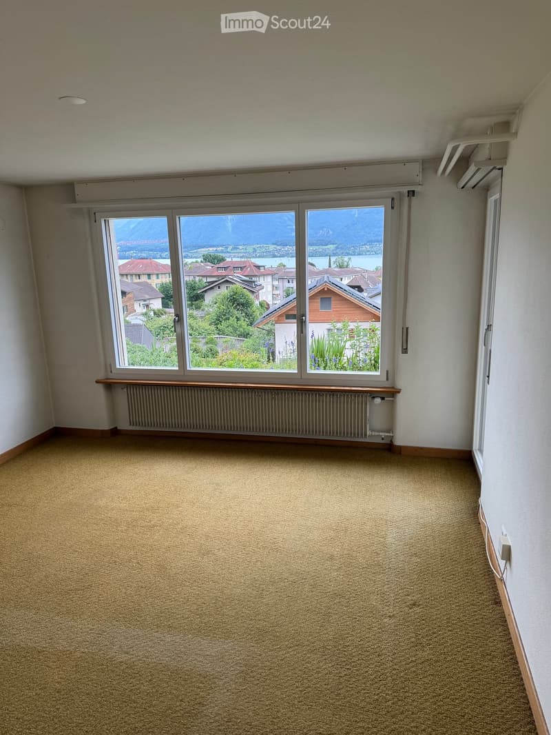 Empty room with carpeted floor, large window offering a scenic view of mountains and town, radiator below the window, and white walls.