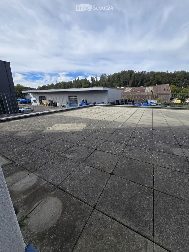 Roof terrace with concrete tiles, metal railing, and distant buildings and trees.