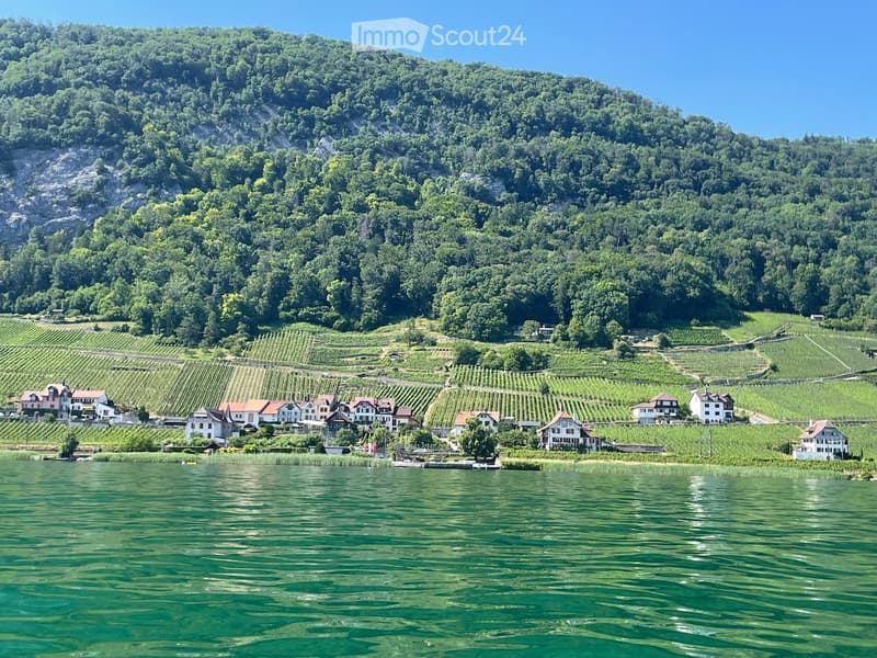 Scenic view of a lakeside village with vineyards, houses, and a forested hill in the background.