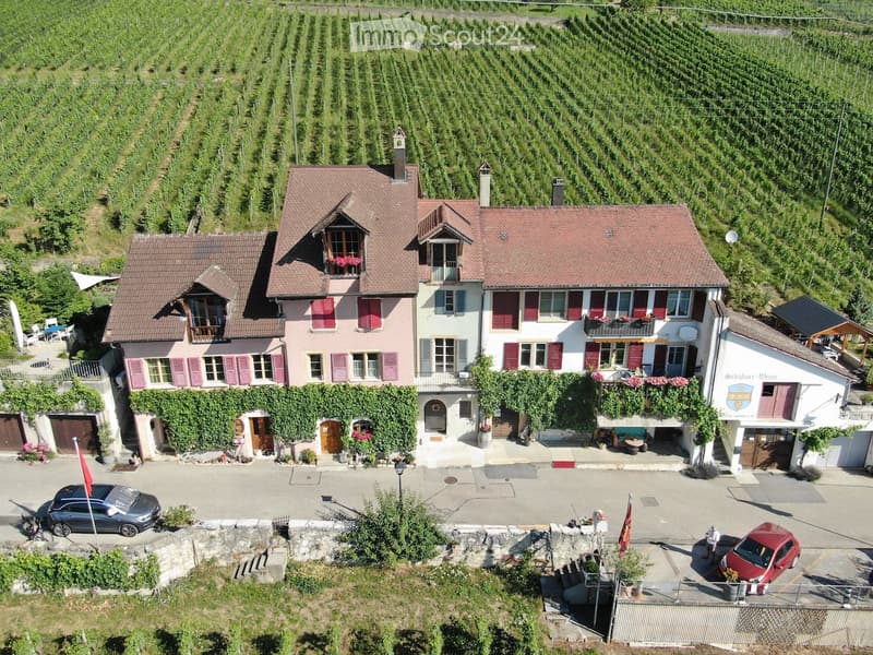 A large, multi-story house with red-tiled roofs, white and pink facades, and red shutters. The house is surrounded by vineyards and has a parking area with several cars.