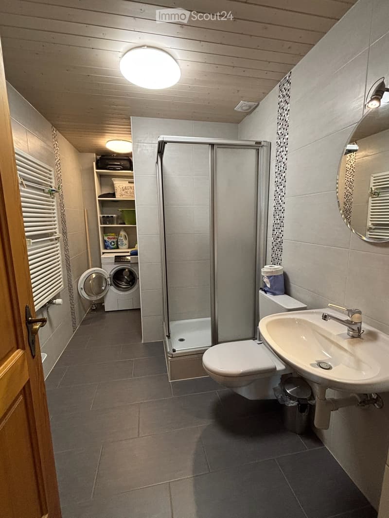 Bathroom with a sink, toilet, shower, mirror, radiator, shelf, and washing machine.