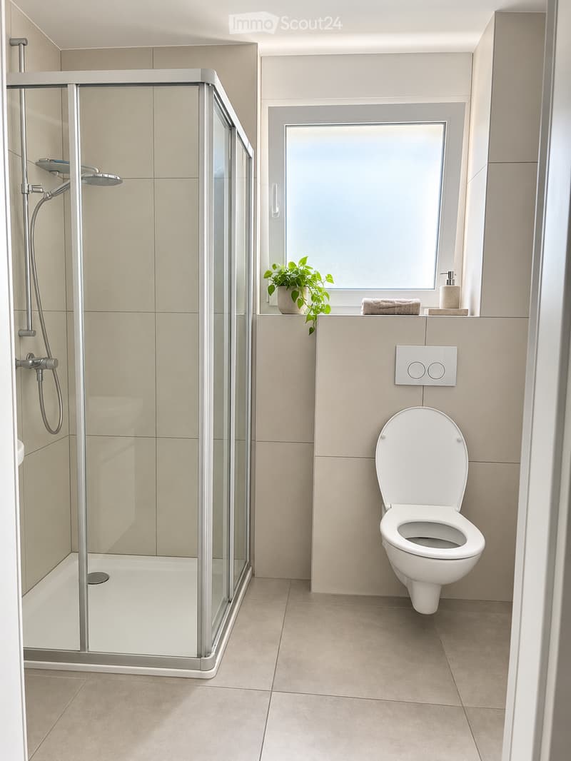 Modern bathroom with a glass-enclosed shower, toilet, and a small window with a plant on the sill.
