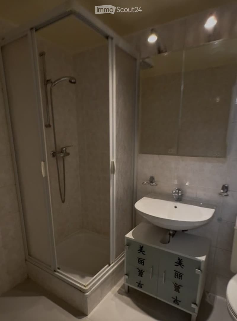 Modern bathroom with a glass-enclosed shower, a white sink on a cabinet, and a large mirror above the sink.