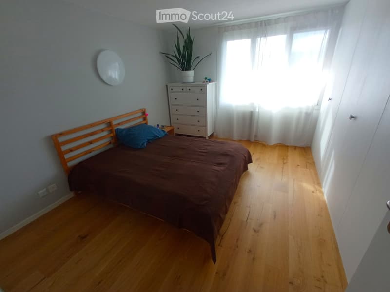 Cozy bedroom with wooden flooring, a single bed with a dark brown duvet and blue pillow, a nightstand, a white dresser with multiple drawers, and a potted plant on top.