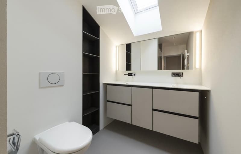 Modern bathroom with white walls, a toilet, a sink with a large mirror, and built-in cabinets.