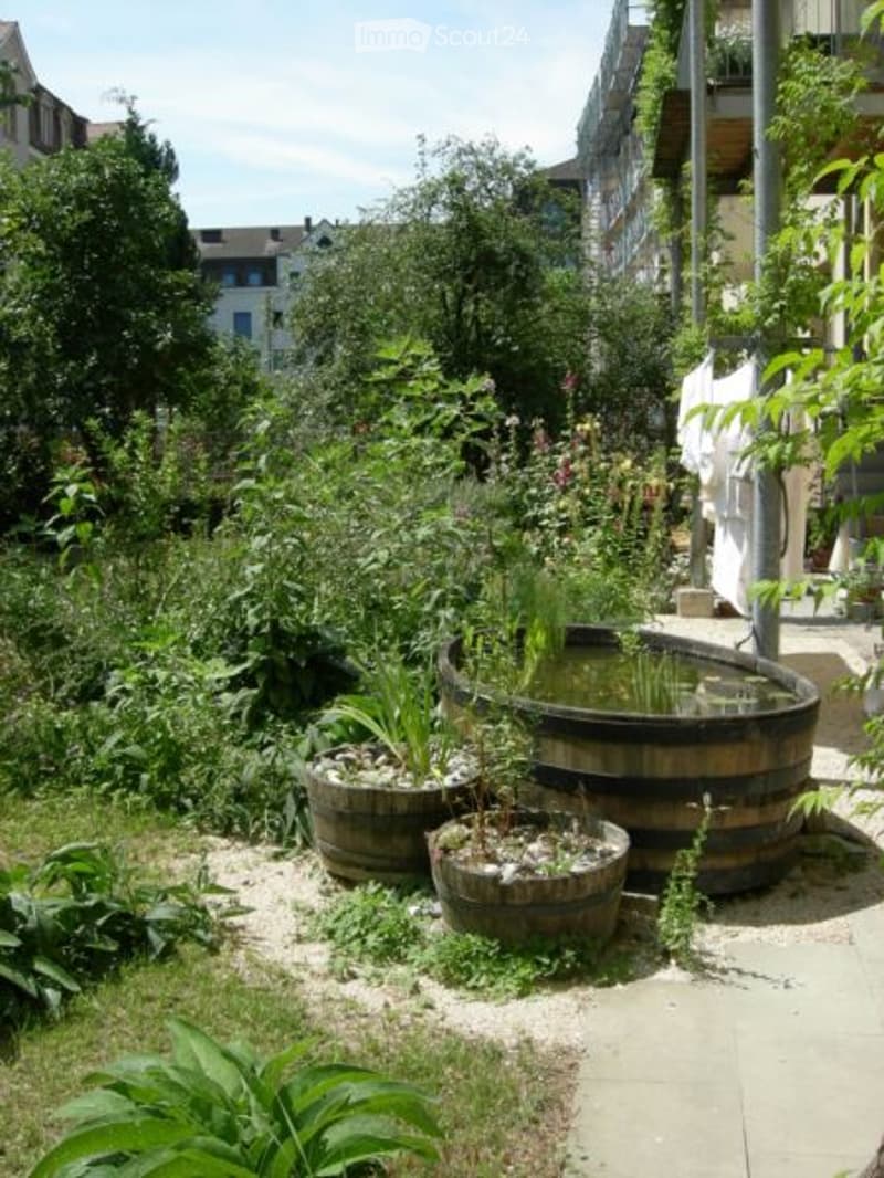 A lush garden area with various plants, wooden barrels used as planters, and a small water feature in the center.