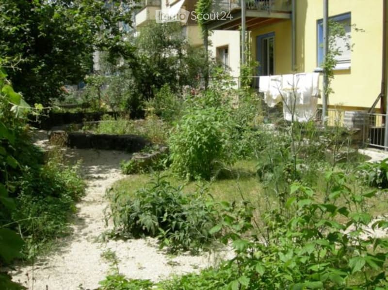 A small, overgrown garden area with a gravel path, various plants, and laundry hanging on a line near a yellow building.