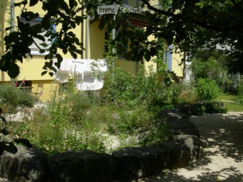 Garden area with lush greenery, stone seating, and a yellow house in the background.