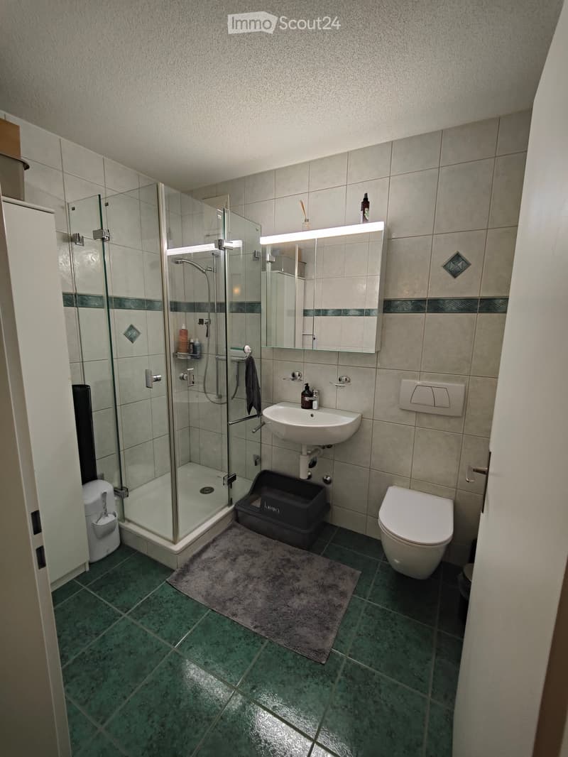 Modern bathroom with green tiled floor, white sink, toilet, glass-enclosed shower, and a built-in mirror cabinet.