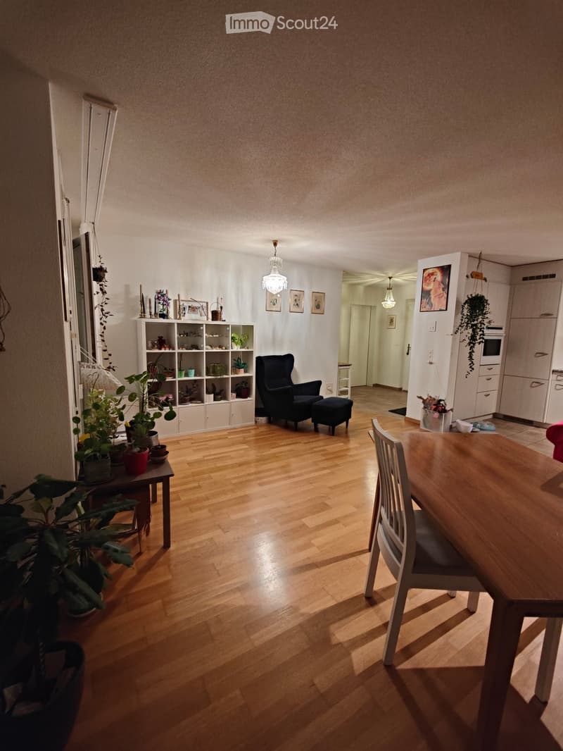 A well-lit living and dining area with wooden flooring, a black sofa, a small table with potted plants, a dining table with chairs, and a shelf with decorative items and plants.
