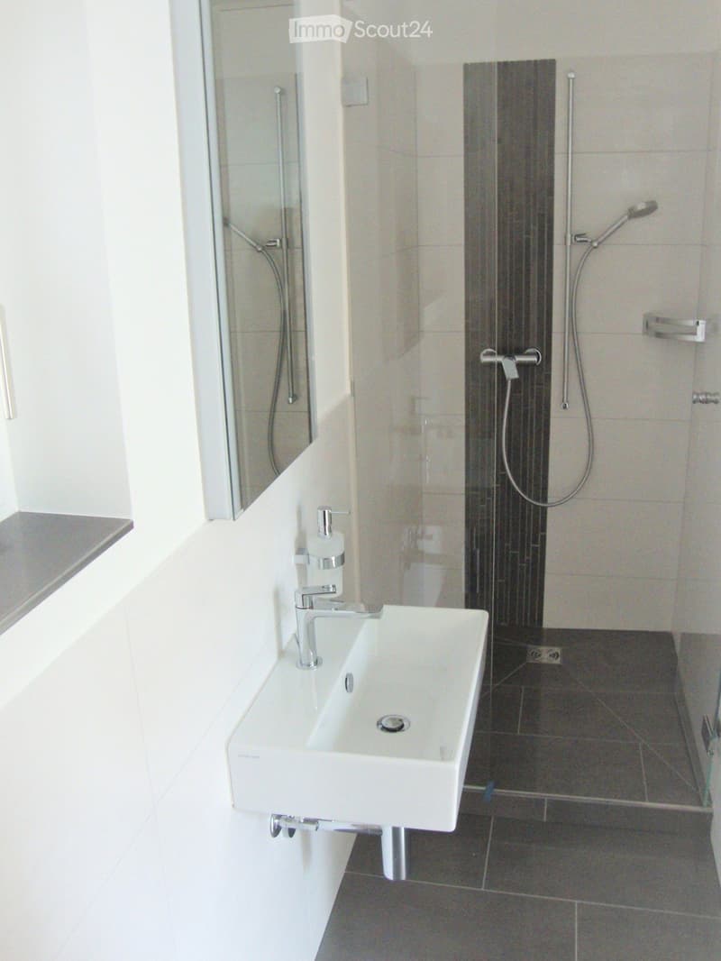 Modern bathroom with a white sink, chrome faucet, mirror, and a separate shower area with a handheld showerhead.