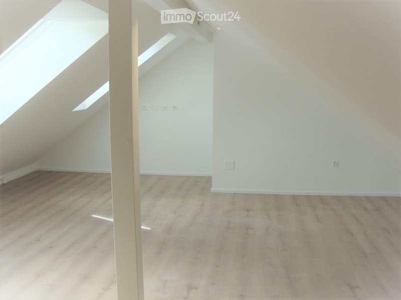 Empty attic space with wooden flooring, white walls, and skylight windows allowing natural light.