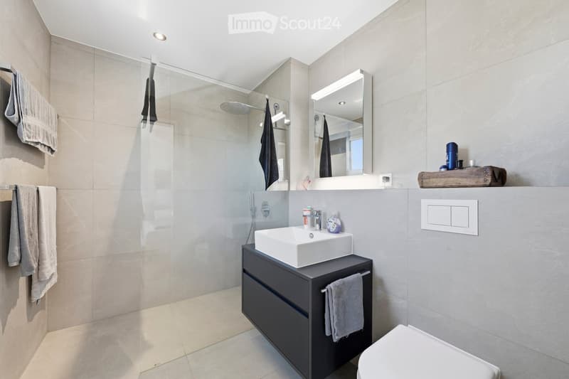 Modern bathroom with a white sink on a dark vanity, a large mirror with built-in lighting, a glass-enclosed shower, and a toilet. Beige tiles and towels are visible.