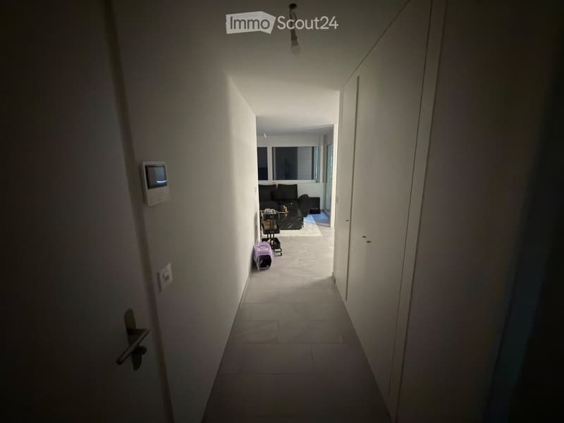 A narrow hallway with tiled flooring, white walls, and a small pet carrier visible in the background. The hallway leads to a room with a sofa and a coffee table.