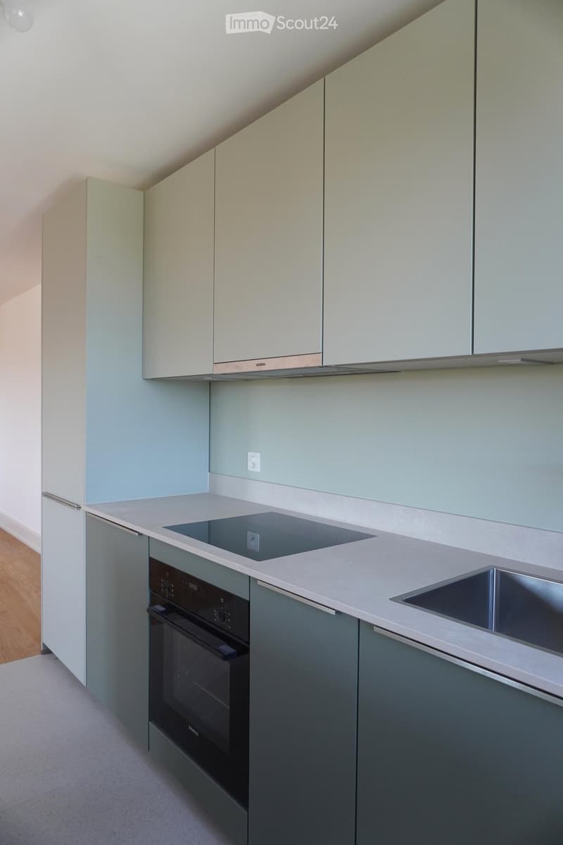 Modern kitchen with light grey cabinets, stainless steel appliances, and a sleek induction cooktop.