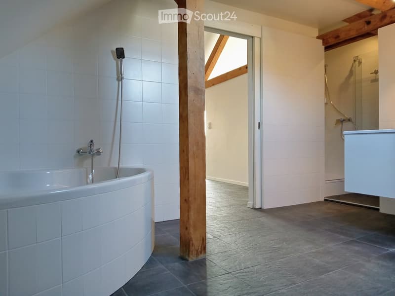 Magnifique loft avec cachet, 100 m2, fr. 2'460.-- (12)