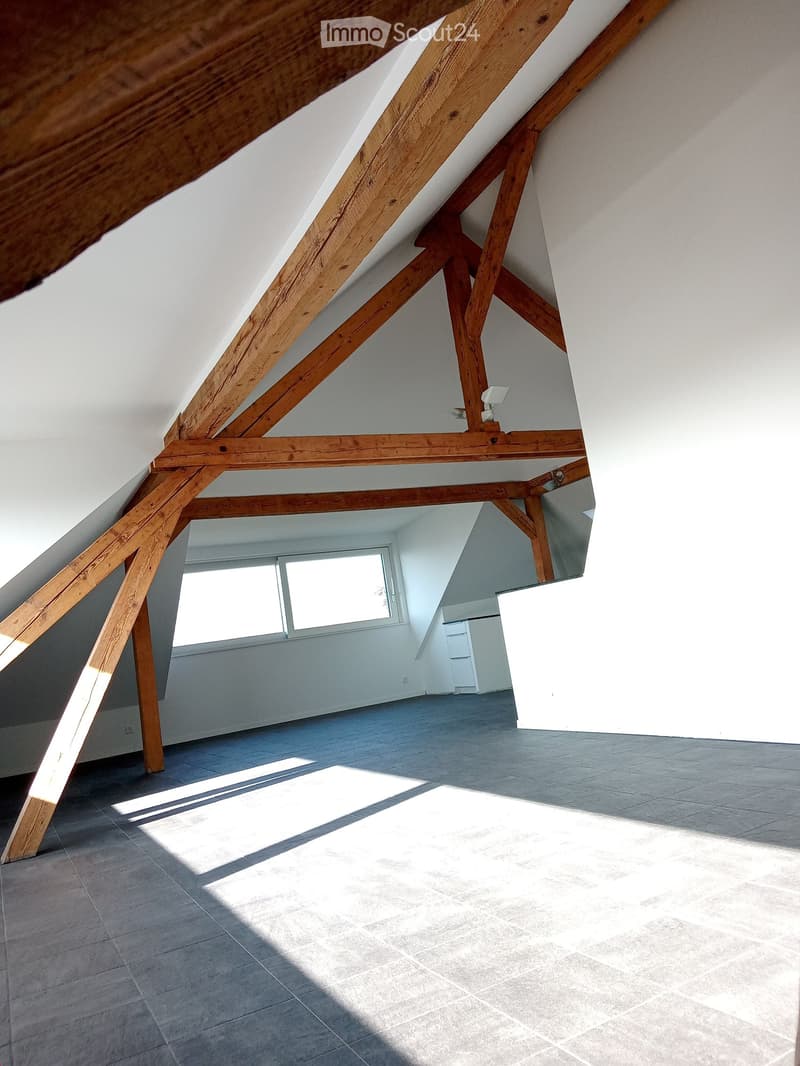 Magnifique loft avec cachet, 100 m2, fr. 2'460.-- (10)