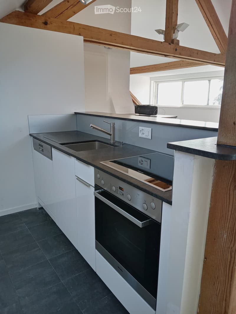 Magnifique loft avec cachet, 100 m2, fr. 2'460.-- (4)