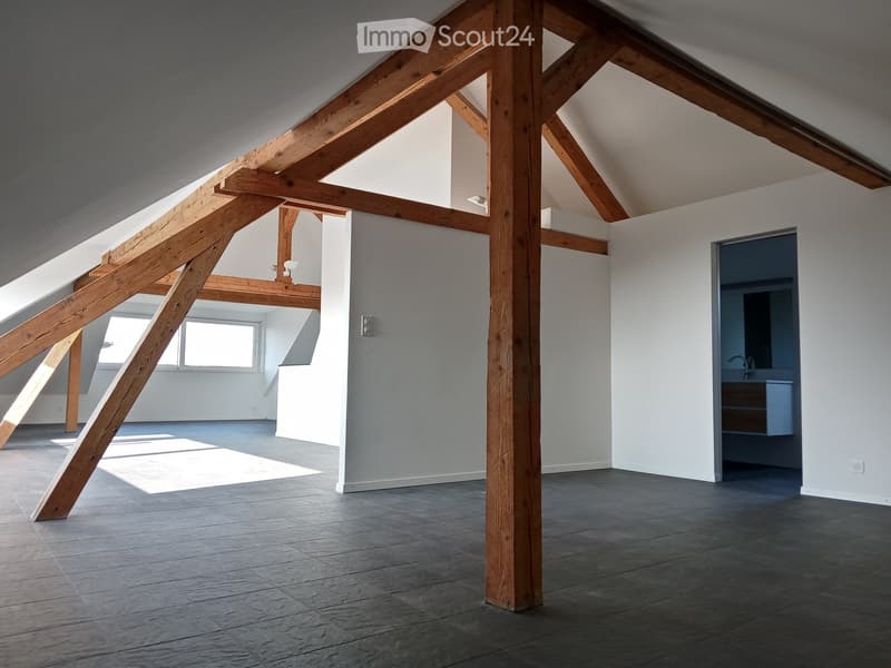 Magnifique loft avec cachet, 100 m2, fr. 2'460.-- (8)