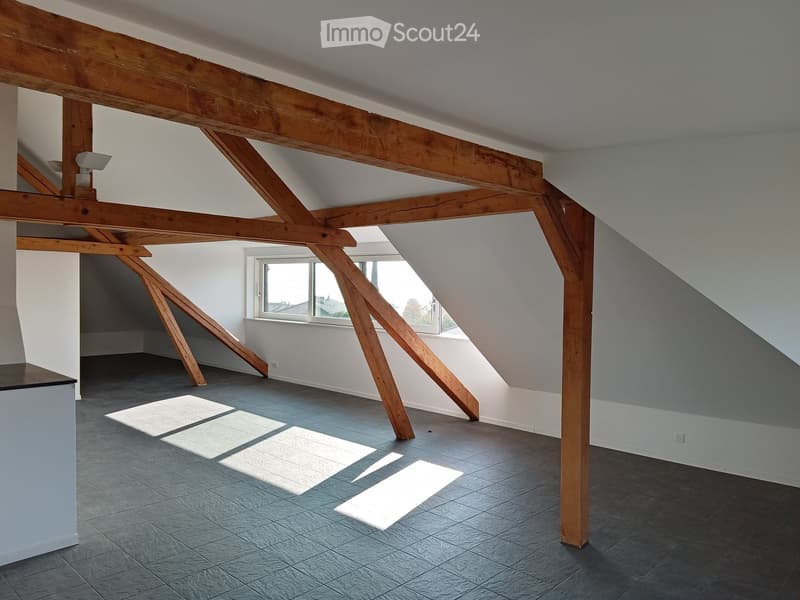 Magnifique loft avec cachet, 100 m2, fr. 2'460.-- (5)