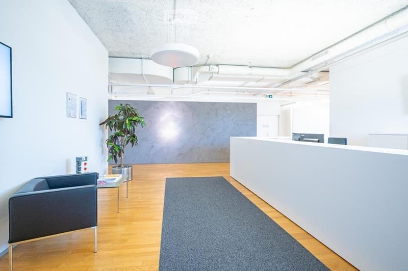 Modern reception area with a grey sofa, small table, potted plant, and a reception desk. The space features light wooden flooring, white walls, and a grey carpet in the center.