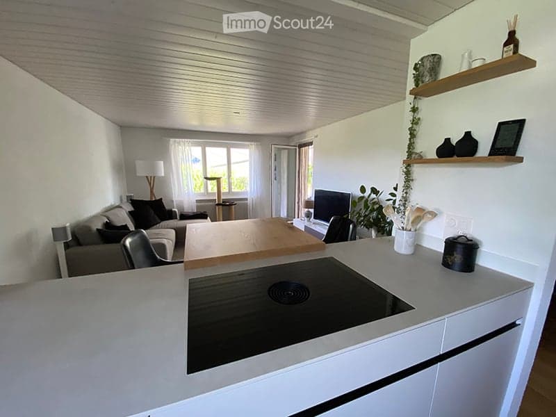 Open-plan living and dining area with a modern kitchen. Features a sofa, coffee table, dining table, induction stove, kitchen cabinet, shelves with decorative items, and a floor lamp.
