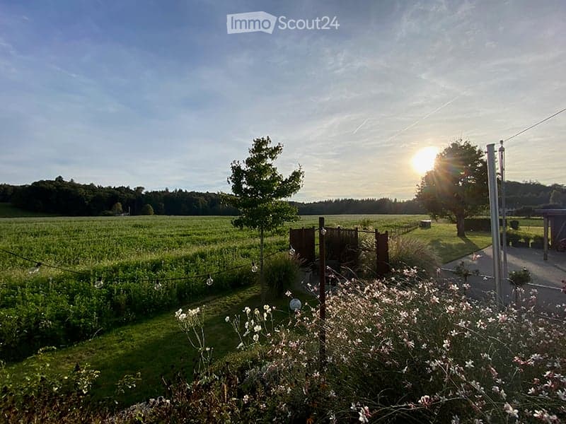 A peaceful garden scene with a vineyard in the background, surrounded by trees and a wooden fence. The foreground features a lush green lawn with flowering plants and a string of lights.