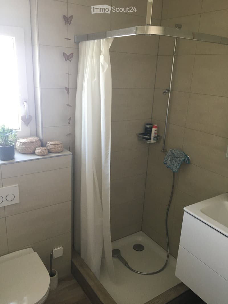 Modern bathroom with a walk-in shower, toilet, sink, and decorative items on the windowsill.