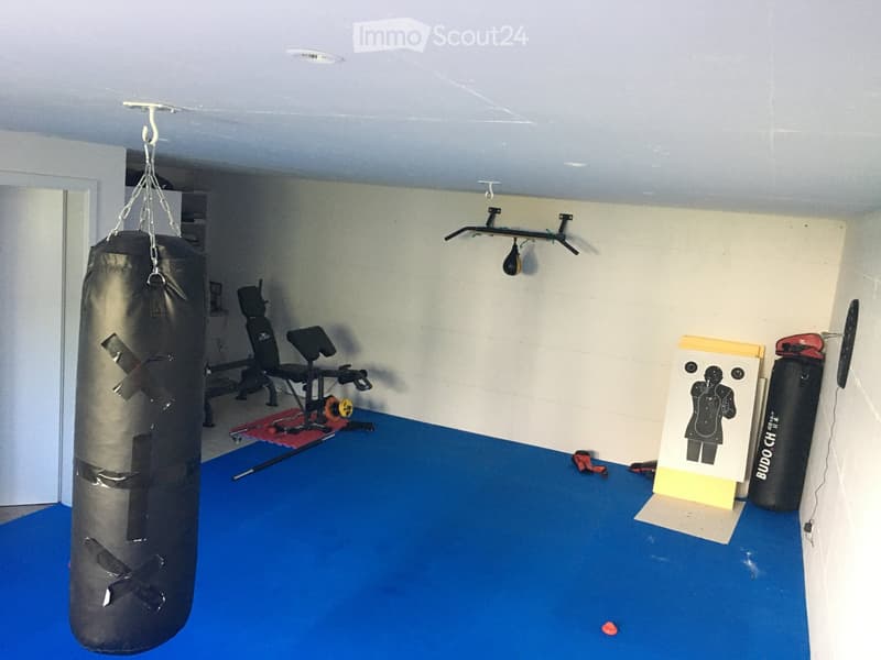 A well-equipped home gym with a punching bag, exercise machine, punching pad, and target poster.