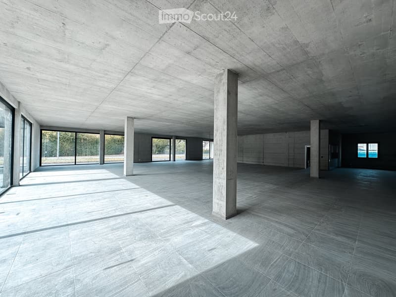 An empty, minimalist room with concrete pillars and large glass windows, featuring a polished concrete floor and exposed ceiling beams.