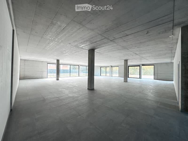 An empty, minimalist room with concrete walls, floor, and ceiling, featuring large glass windows and several concrete pillars.