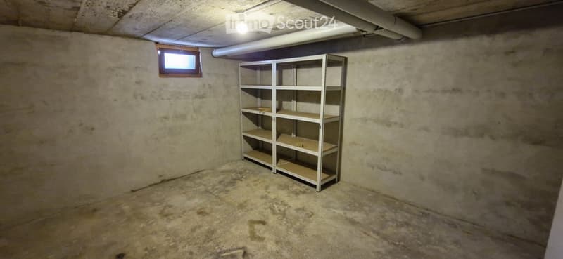 Empty basement room with concrete walls and floor, a single metal shelving unit, and a small window.