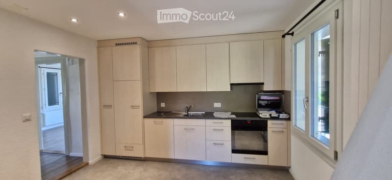 Modern kitchen with light wood cabinets, stainless steel sink, oven, and a printer on the counter.