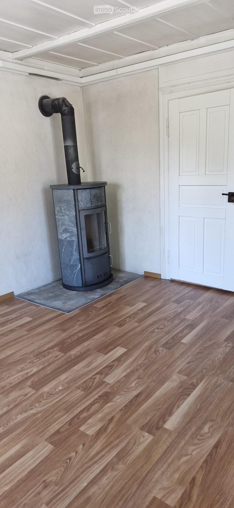 Empty room with wooden flooring, white walls, and a modern wood-burning stove with a chimney pipe.