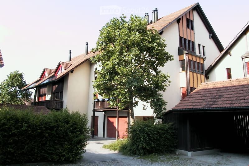 sonnige 4½-Zimmerwohung (3)