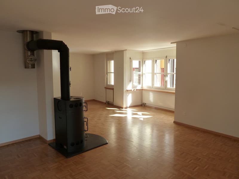 sonnige 4½-Zimmerwohung (6)