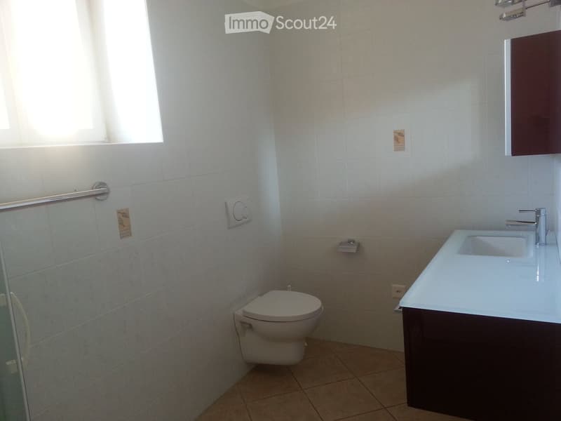 Modern bathroom with white tiled walls, a toilet, a sink with a modern faucet, and a dark wooden cabinet.