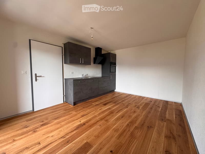 Empty kitchen with wooden flooring, grey cabinets, and a sink area.